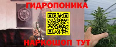трава Анжеро-Судженск